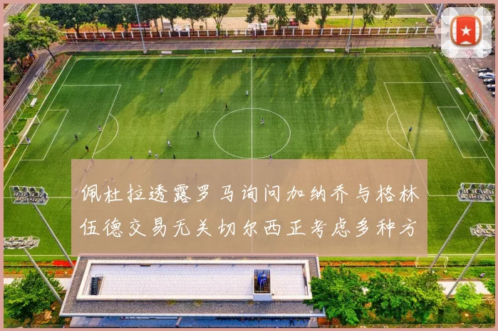 佩杜拉透露罗马询问加纳乔与格林伍德交易无关切尔西正考虑多种方案