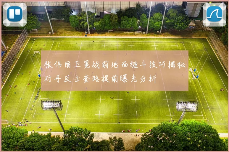 张伟丽卫冕战前地面缠斗技巧揭秘对手反击套路提前曝光分析