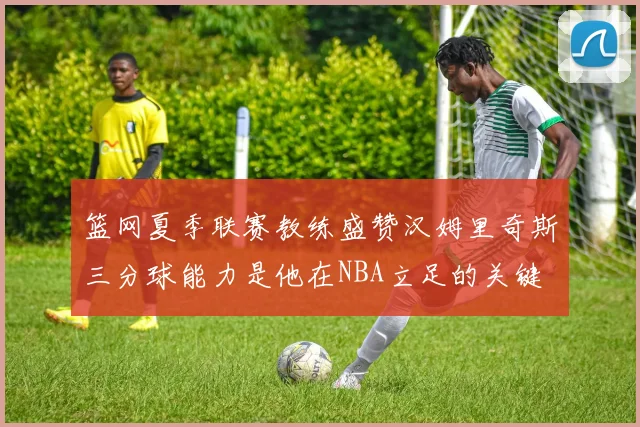 篮网夏季联赛教练盛赞汉姆里奇斯三分球能力是他在NBA立足的关键